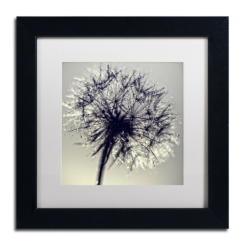 Trademark Fine Art BC0134-B1111MF Morning Sparkles by Beata Czyzowska Young 11Hx11W FRM Art, WHT MTD image 1
