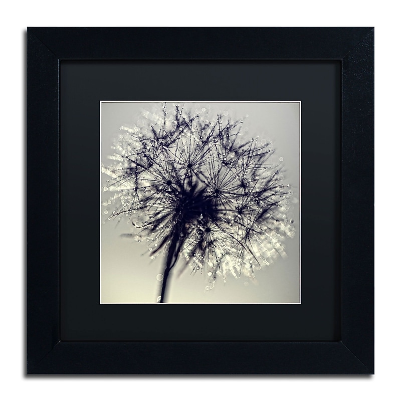 Trademark Fine Art Morning Sparkles by Beata Czyzowska Young 11Hx11W FRM Art, BLK MTD image 1