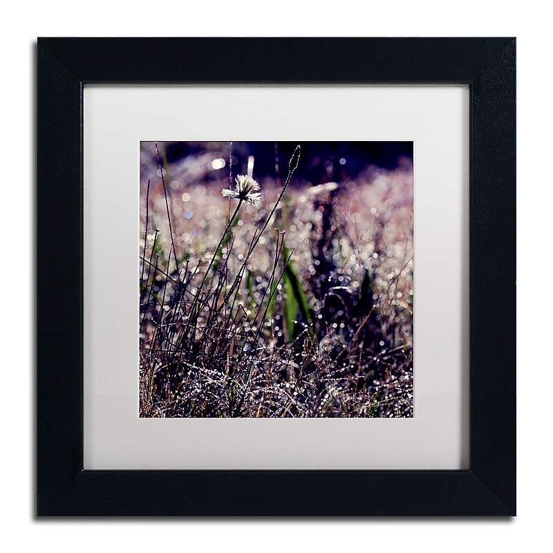 Trademark Fine Art BC0142-B1111MF Purple Morning by Beata Czyzowska Young 11x11 FRM Art, WHT MTD image 1