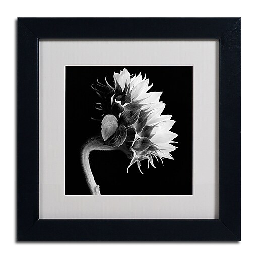 Trademark Fine Art ALI0294-B1111MF 