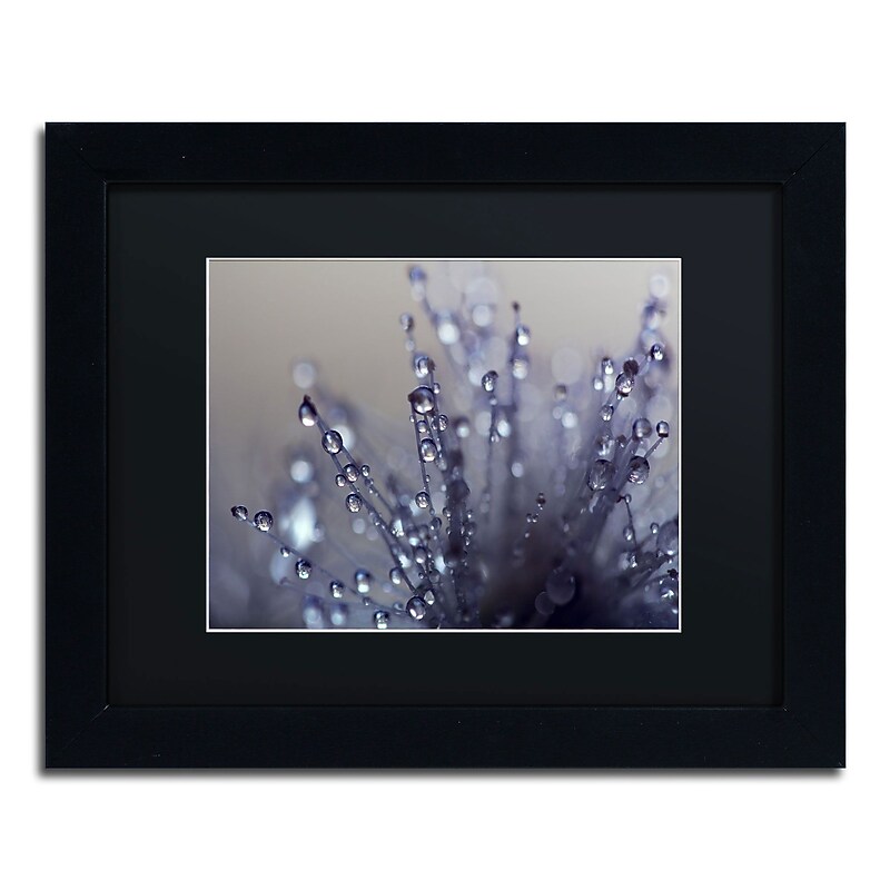 Trademark Fine Art BC0120-B1114BMF Evening Jewels by Beata Czyzowska Young 11x14 FRM Art, BLK MTD image 1