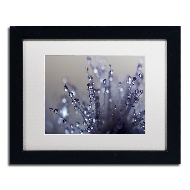 Trademark Fine Art BC0120-B1114MF Evening Jewels by Beata Czyzowska Young 11x14 FRM Art, WHT MTD image 1