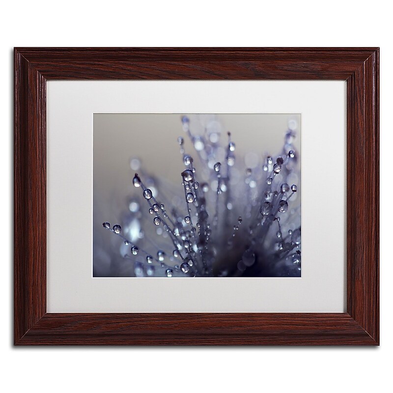 Trademark Fine Art BC0120-W1114MF Evening Jewels by Beata Czyzowska Young 11x14 FRM Art, WHT MTD image 1