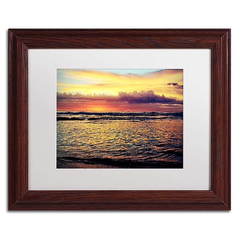 Trademark Fine Art BC0131-W1114MF "Lonely at Sunset" by Beata Czyzowska Young 11" x 14" Framed Art image 1