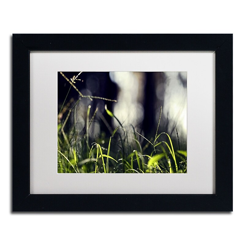 Trademark Fine Art BC0133-B1114MF Morning Secrets by Beata Czyzowska Young 11x14 FRM Art, WHT MTD image 1