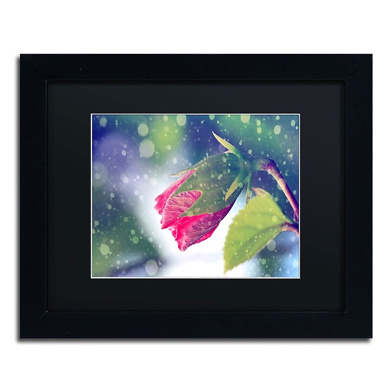 Trademark Fine Art BC0139-B1114BMF Out of the Blue by Beata Czyzowska Young 11x14 FRM Art, BLK MTD image 1