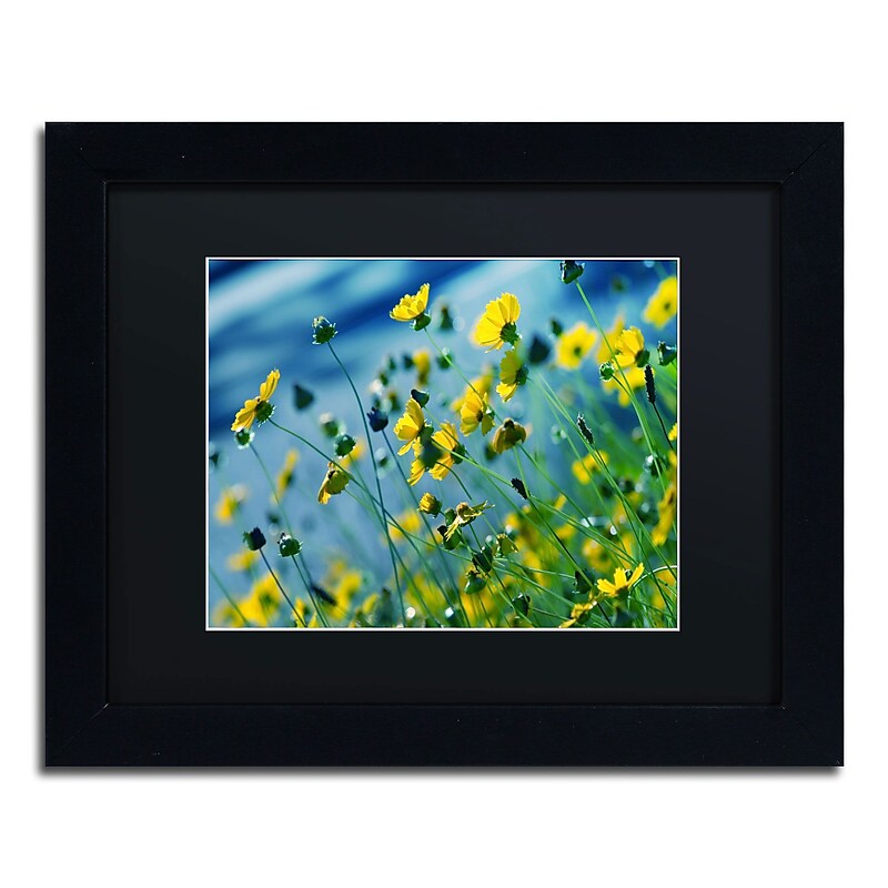 Trademark Fine Art BC0141-B1114BMF Power in Flower by Beata Czyzowska Young 11x14 FRM Art, BLK MTD image 1