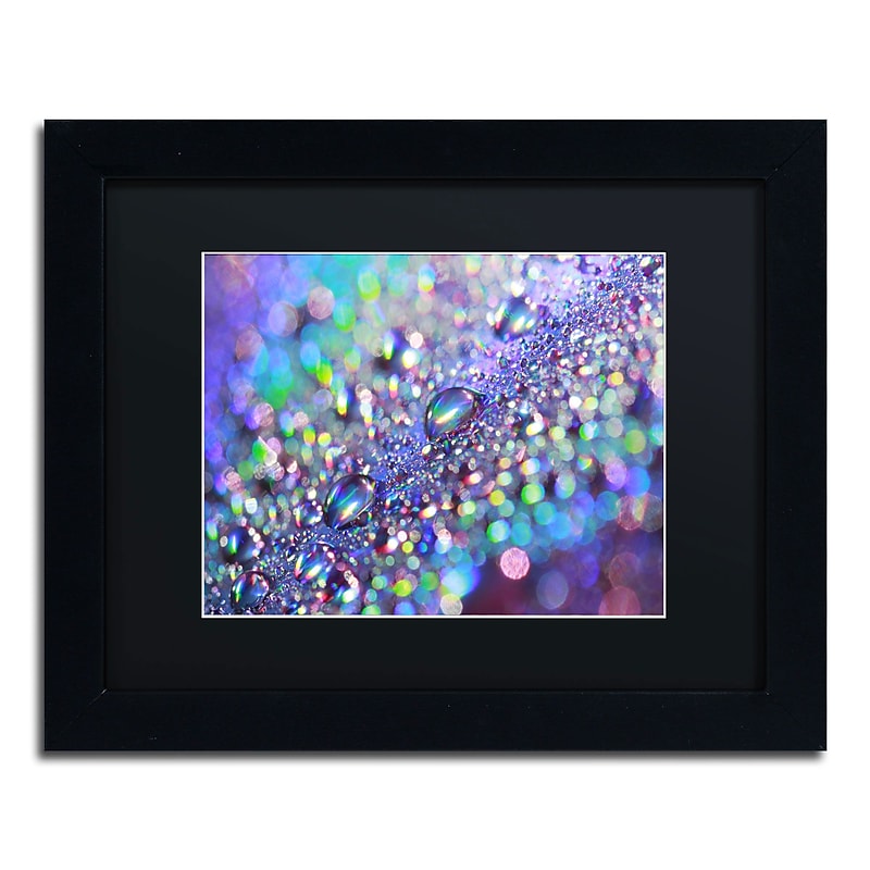 Trademark Fine Art Colours of Rainbow by Beata Czyzowska Young 11x14 FRM Art, BLK MTD image 1
