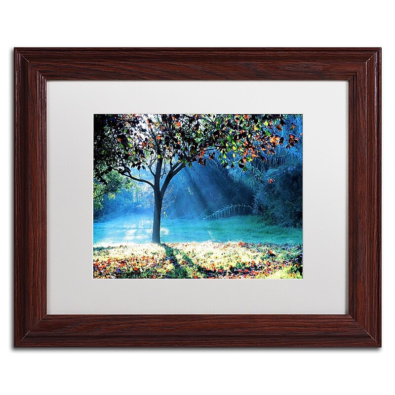 Trademark Fine Art BC0144-W1114MF "Rays of Hope" by Beata Czyzowska Young 11" x 14" FRM Art, WHT MTD image 1
