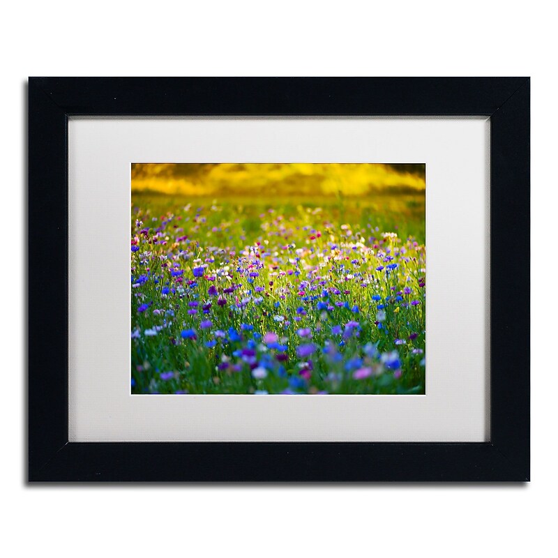 Trademark Fine Art PSL0332-B1114MF Candy Fields by Philippe Sainte-Laudy 11x14 FRM Art, WHT MTD image 1