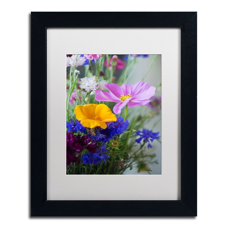 Trademark Fine Art PSL0334-B1114MF "Cosmo Duo" by Philippe Sainte-Laudy 14" x 11" FRM Art, WHT MTD image 1