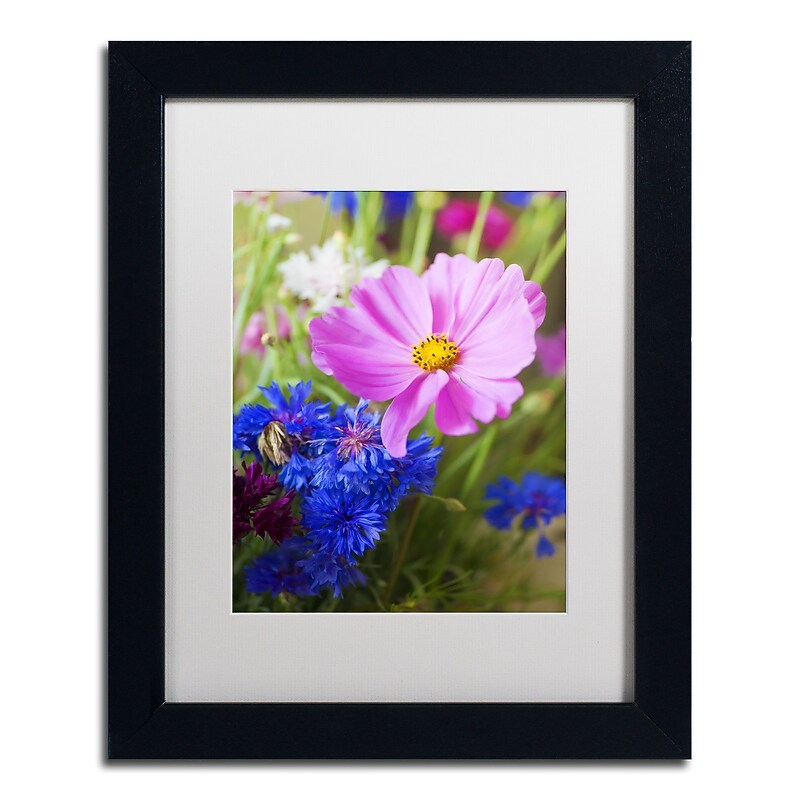 Trademark Fine Art PSL0333-B1114MF "Cosmo" by Philippe Sainte-Laudy 14" x 11" Framed Art, WHT MTD image 1