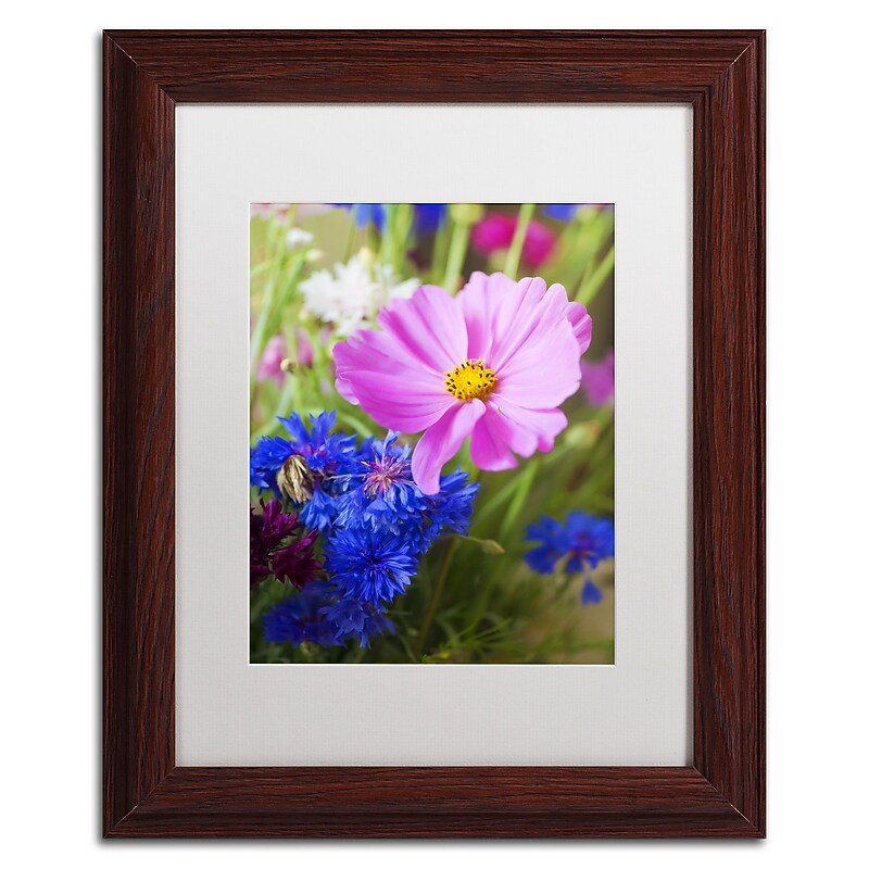 Trademark Fine Art PSL0333-W1114MF "Cosmo" by Philippe Sainte-Laudy 14" x 11" Framed Art, WHT MTD image 1