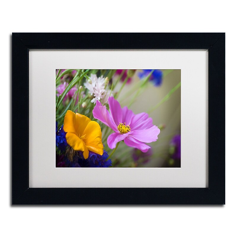 Trademark Fine Art Cosmos of the Fields by Philippe Sainte-Laudy 11x14 FRM Art, WHT MTD (PSL0335-B1114MF) image 1