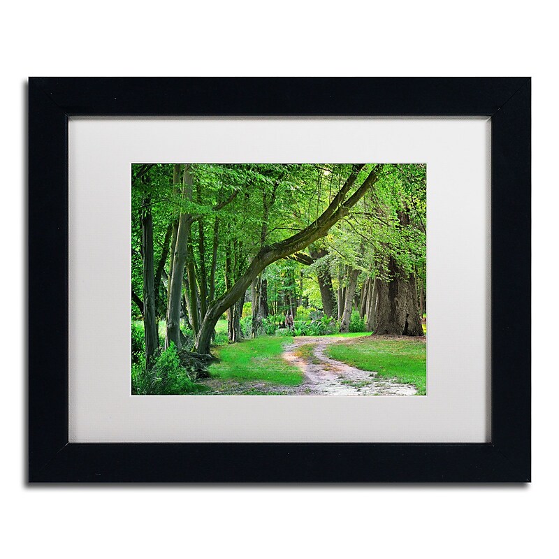 Trademark Fine Art Intimate Landscape by Philippe Sainte-Laudy 11x14 FRM Art, WHT MTD (PSL0309-B1114MF) image 1