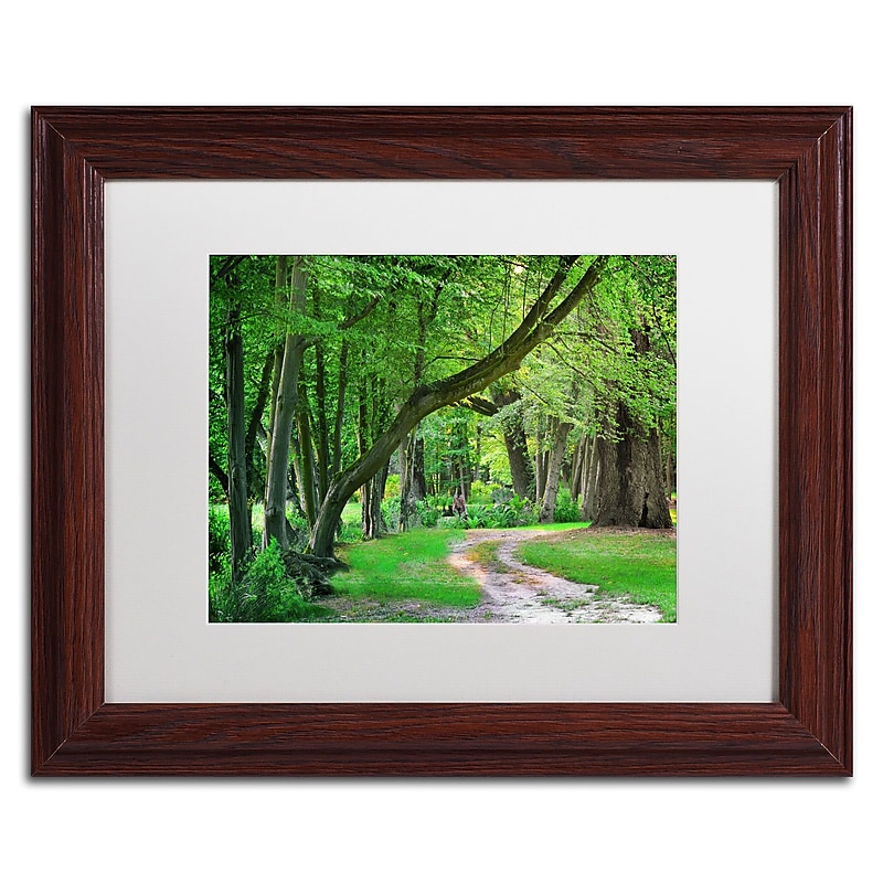 Trademark Fine Art Intimate Landscape by Philippe Sainte-Laudy 11x14 FRM Art, WHT MTD (PSL0309-W1114MF) image 1