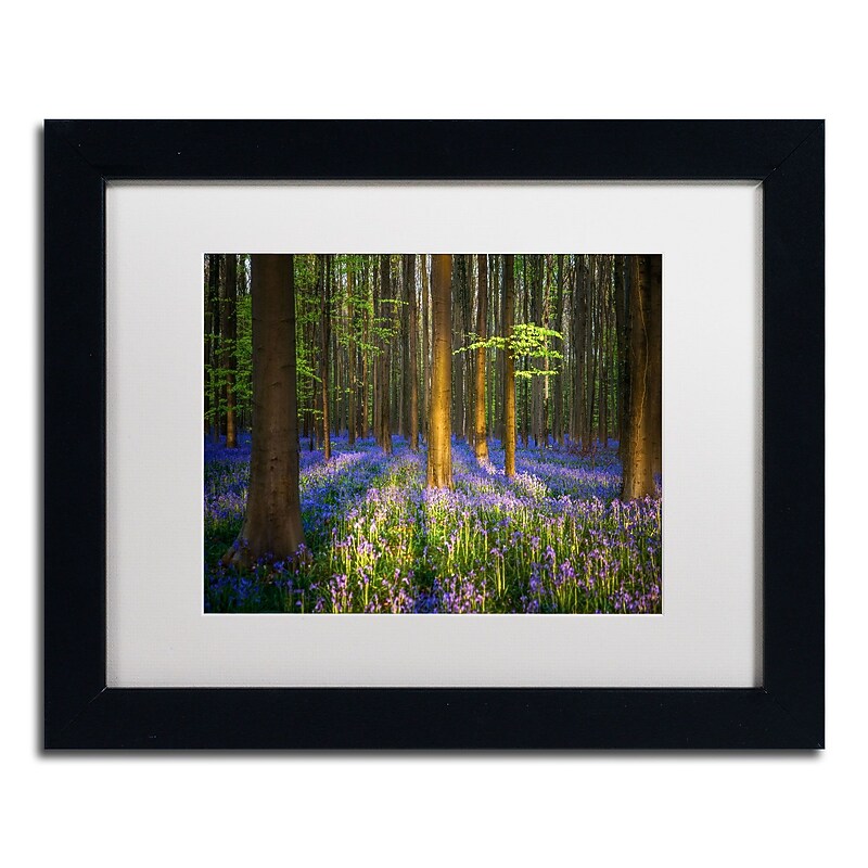 Trademark Fine Art RV0021-B1114MF "Mystical Forest" by Mathieu Rivrin 11" x 14" Framed Art, WHT MTD image 1
