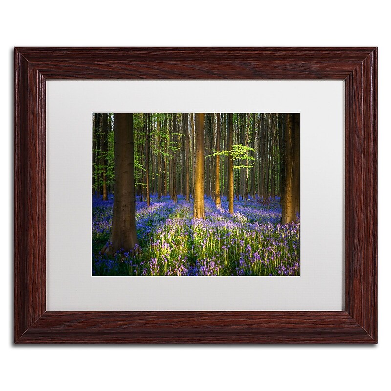 Trademark Fine Art RV0021-W1114MF "Mystical Forest" by Mathieu Rivrin 11" x 14" Framed Art, WHT MTD image 1