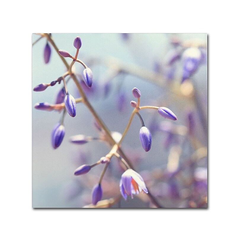 Trademark Fine Art BC0125-C2424GG "How it Begins" by Beata Czyzowska Young 24" x 24" Frameless Art image 1