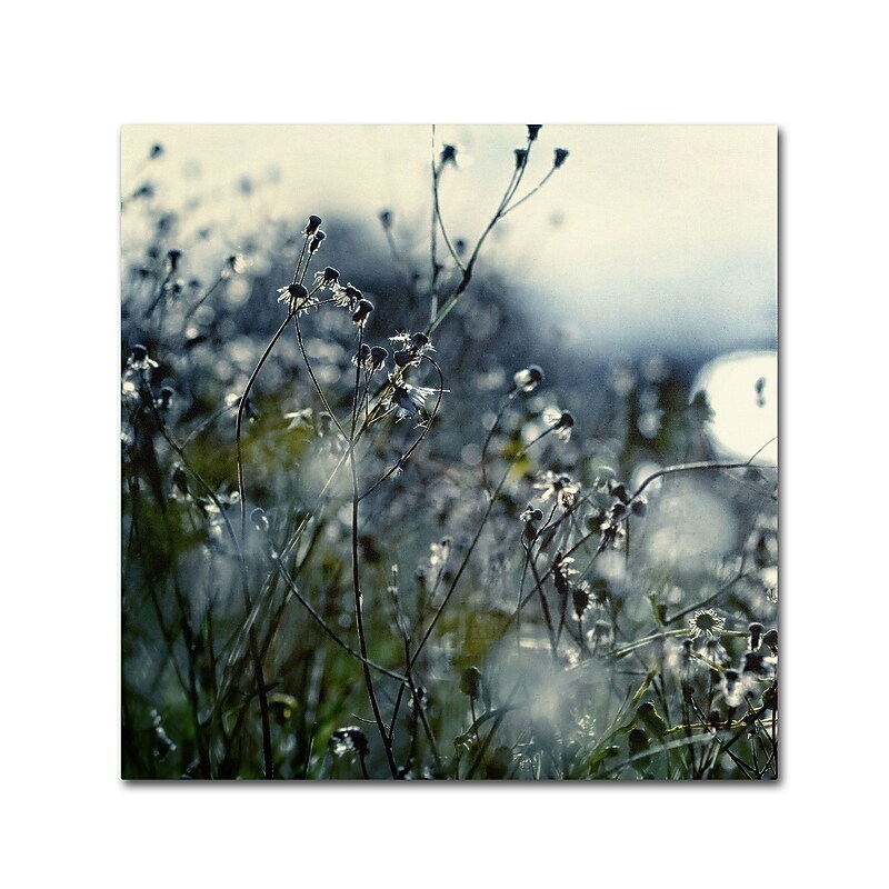 Trademark Fine Art BC0126-C1818GG "In Silence" by Beata Czyzowska Young 18" x 18" Frameless Art image 1