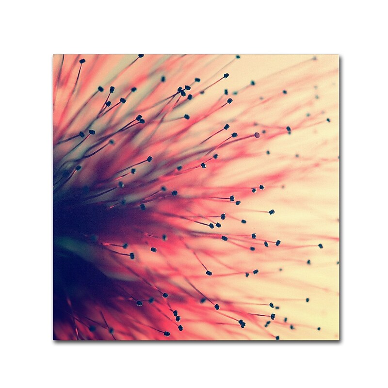 Trademark Fine Art BC0127-C1818GG "Into the Future" by Beata Czyzowska Young 18" x 18" Frameless Art image 1