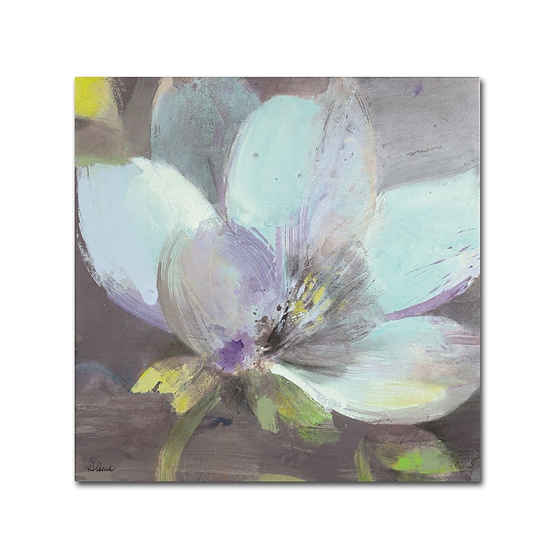Trademark Fine Art WAP0088-C3535GG "Jump II" by Albena Hristova 35" x 35" Frameless Art image 1
