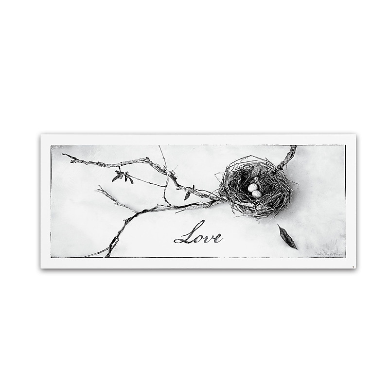 Trademark Fine Art WAP0104-C2047GG Nest and Branch II Love by Debra Van Swearingen 20x47 FRMLS Art image 1