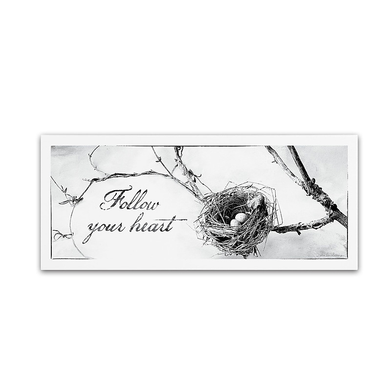 Trademark Fine Art WAP0105-C1024GG "Nest and Branch III" by Debra Van Swearingen 10" x 24" FRMLS Art image 1