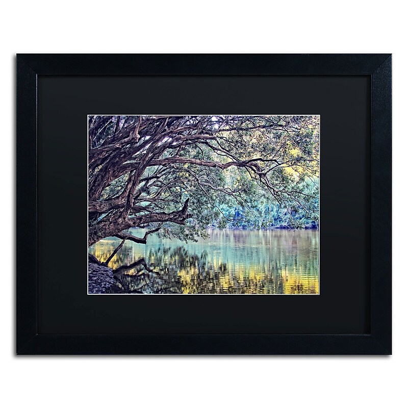Trademark Fine Art BC0115-B1620BMF A Place to Dream by Beata Czyzowska Young 16x20 FRM Art, BLK MTD image 1