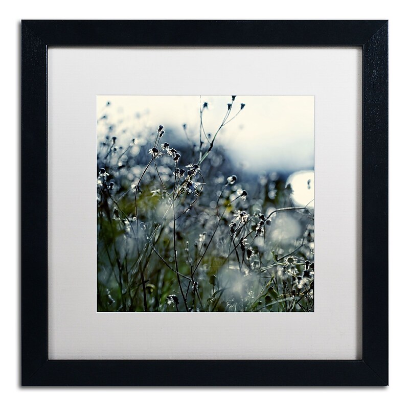 Trademark Fine Art BC0126-B1616MF "In Silence" by Beata Czyzowska Young 16" x 16" Framed Art image 1