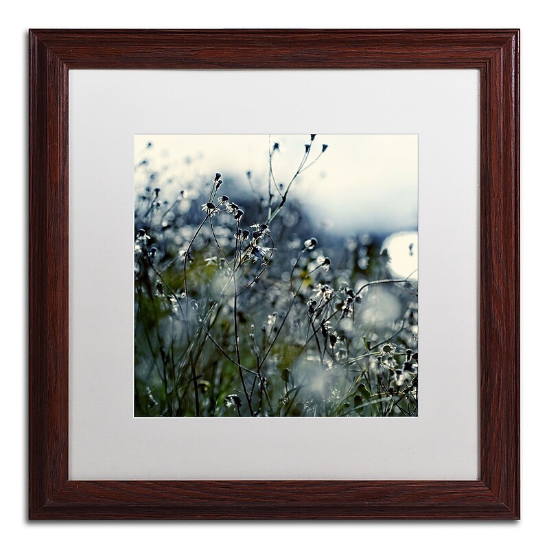 Trademark Fine Art BC0126-W1616MF "In Silence" by Beata Czyzowska Young 16" x 16" Framed Art image 1