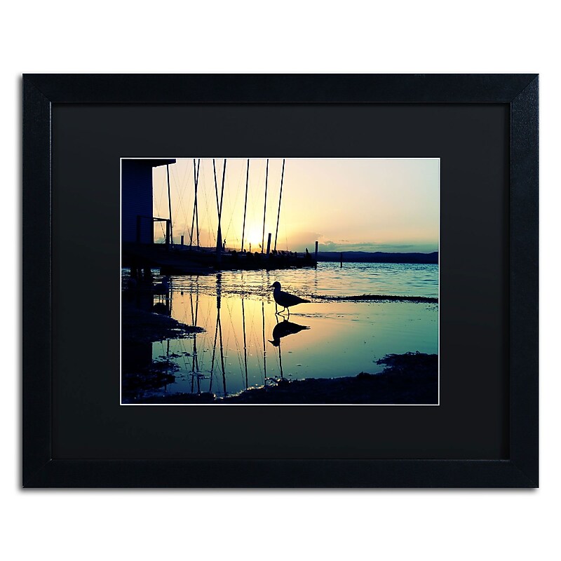 Trademark Fine Art BC0130-B1620BMF Lonely at Sunset by Beata Czyzowska Young 16x20 FRM Art, BLK MTD image 1