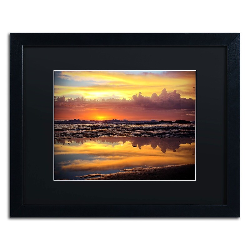 Trademark Fine Art BC0132-B1620BMF Morning Secrets by Beata Czyzowska Young 16x20 FRM Art, BLK MTD image 1