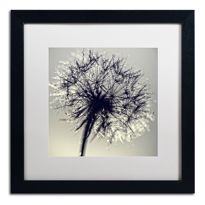Trademark Fine Art BC0134-B1616MF "Morning Sparkles" by Beata Czyzowska Young 16" x 16" Framed Art image 1