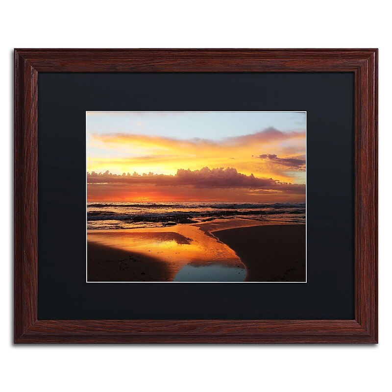 Trademark Fine Art Once Upon a Morning by Beata Czyzowska Young 16x20 FRM Art, BLK MTD (BC0138-W1620BMF) image 1