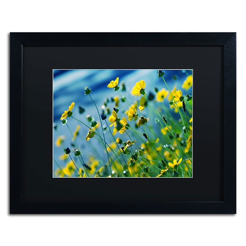 Trademark Fine Art BC0141-B1620BMF Power in Flower by Beata Czyzowska Young 16x20 FRM Art, BLK MTD image 1