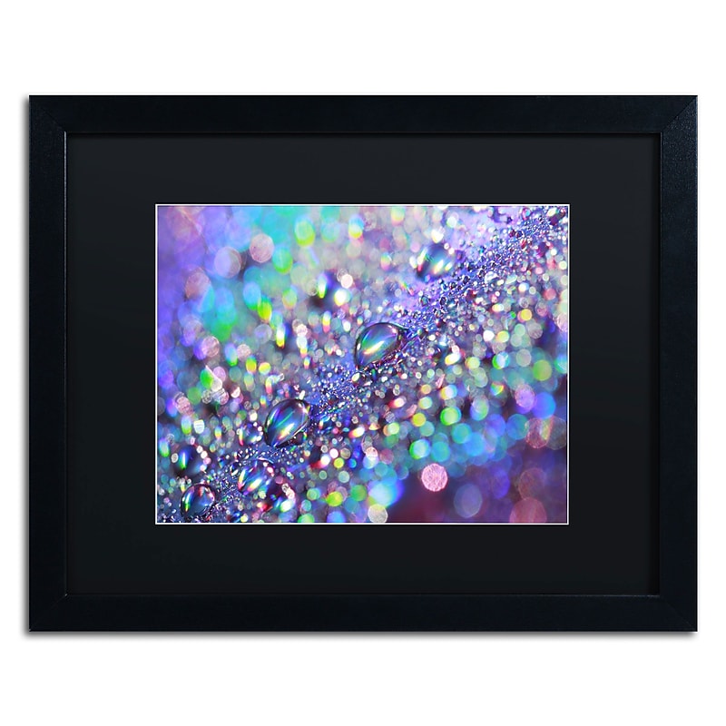 Trademark Fine Art Colours of Rainbow by Beata Czyzowska Young 16x20 FRM Art, BLK MTD image 1