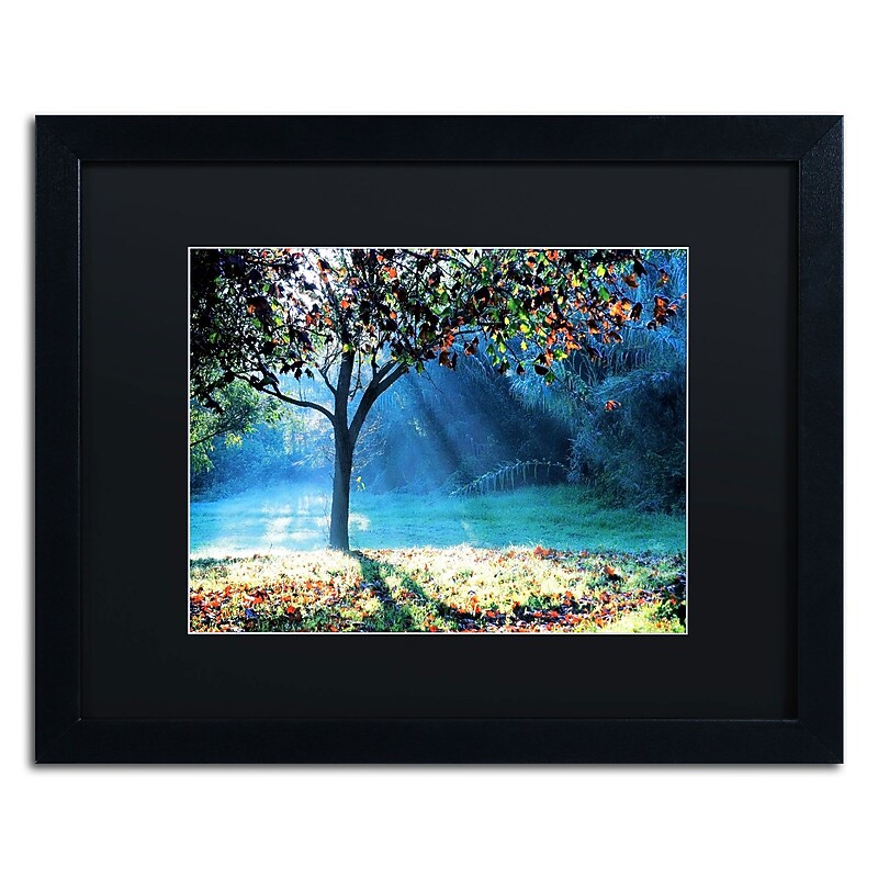 Trademark Fine Art BC0144-B1620BMF Rays of Hope by Beata Czyzowska Young 16x20 FRM Art, BLK MTD image 1