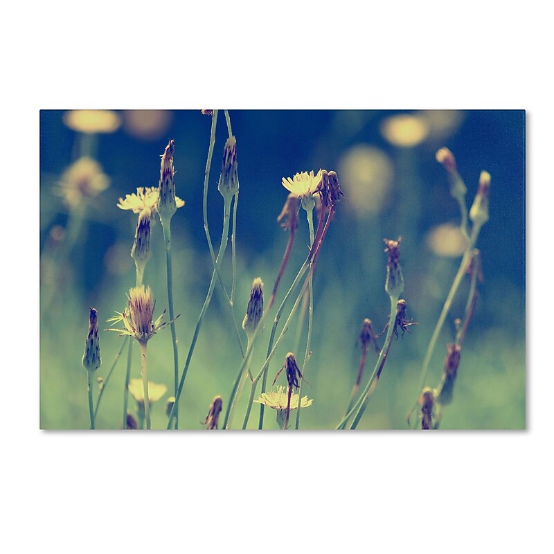 Trademark Fine Art BC0118-C1219GG "Days in the Sun" by Beata Czyzowska Young 12" x 19" Frameless Art image 1