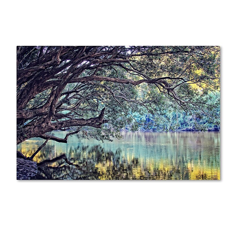 Trademark Fine Art BC0115-C1219GG "A Place to Dream" by Beata Czyzowska Young 12" x 19" FRMLS Art image 1