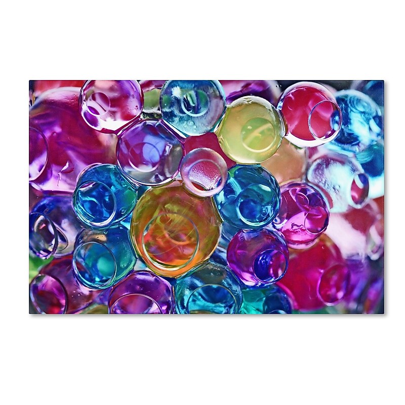 Trademark Fine Art BC0119-C3047GG "Dream in Colour" by Beata Czyzowska Young 30" x 47" Frameless Art image 1
