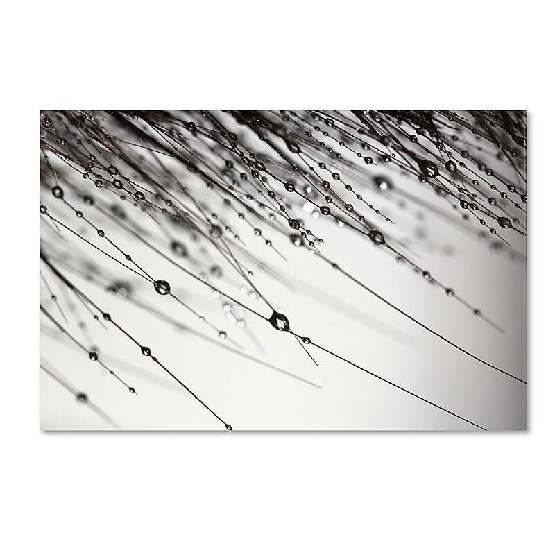 Trademark Fine Art BC0124-C1624GG "Her Wishes" by Beata Czyzowska Young 16" x 24" Frameless Art image 1
