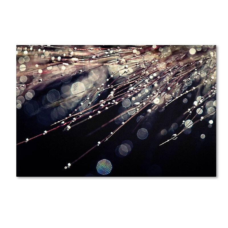 Trademark Fine Art BC0129-C2232GG "Little Wonders" by Beata Czyzowska Young 22" x 32" Frameless Art image 1