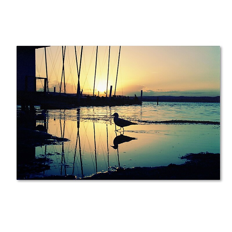 Trademark Fine Art BC0130-C2232GG "Lonely at Sunset" by Beata Czyzowska Young 22" x 32" FRMLS Art image 1
