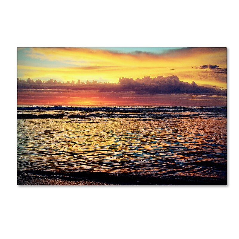 Trademark Fine Art BC0131-C3047GG "Morning Glory" by Beata Czyzowska Young 30" x 47" Frameless Art image 1