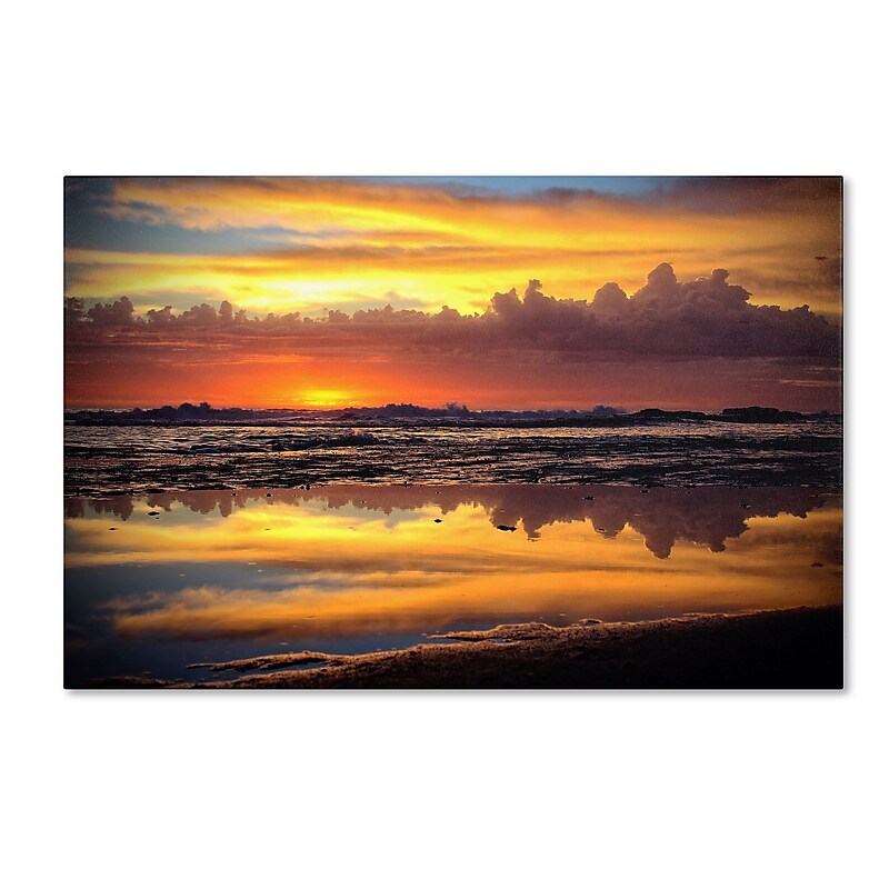 Trademark Fine Art BC0132-C1624GG "Morning Reflections" by Beata Czyzowska Young 16" x 24" FRMLS Art image 1