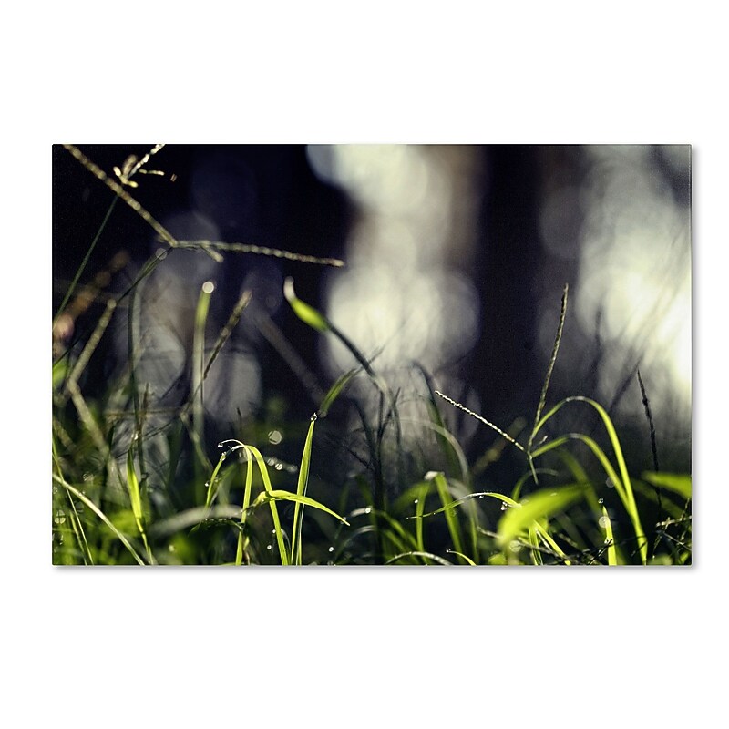 Trademark Fine Art BC0133-C1219GG "Lonely at Sunset" by Beata Czyzowska Young 12" x 19" FRMLS Art image 1