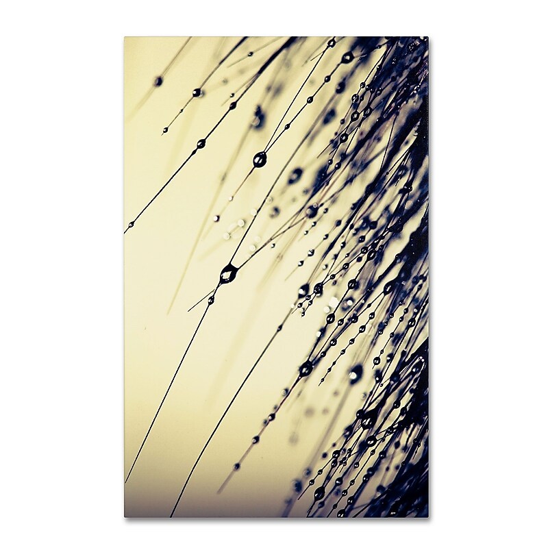 Trademark Fine Art BC0135-C1624GG "Music of Yesterday" by Beata Czyzowska Young 24" x 16" FRMLS Art image 1