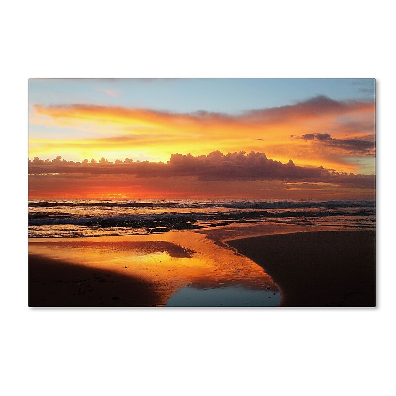 Trademark Fine Art BC0138-C3047GG "Once Upon a Morning" by Beata Czyzowska Young 30" x 47" FRMLS Art image 1