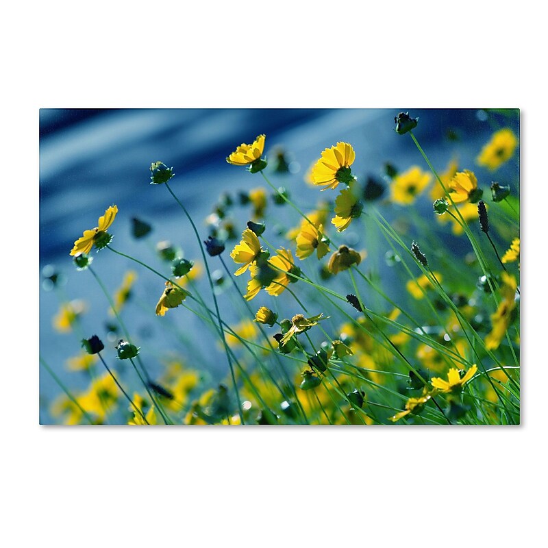Trademark Fine Art BC0141-C2232GG "Power in Flower" by Beata Czyzowska Young 22" x 32" Frameless Art image 1